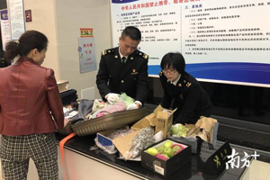 这些“行李”不能带！梅州海关截获旅客违规携带入境水果