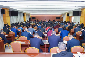 兴宁市召开打击治理电信网络新型违法犯罪工作会议