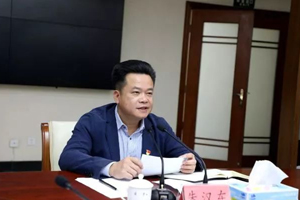 大埔县召开县委常委会会议：要主动融入粤港澳大湾区建设