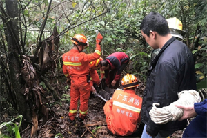 丰顺男子上山挖笋不慎摔落山腰身亡