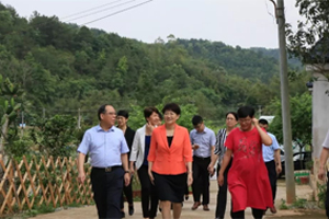 省妇联主席冯玲率队到兴宁开展深调研