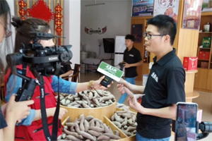 年销五华红薯近千万斤！认真看看这位网红“萌薯哥哥”是怎么做到的