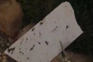 兴宁出现小区高空坠物现象，还惊动了警方!