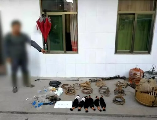 梅州这名男子因捕捉野生动物被群众举报！